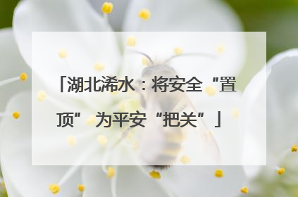 湖北浠水：将安全“置顶” 为平安“把关”